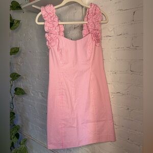 Lilly Pulitzer Devina Dress Pink Cosmo Yard Dyed Stripe Seersucker